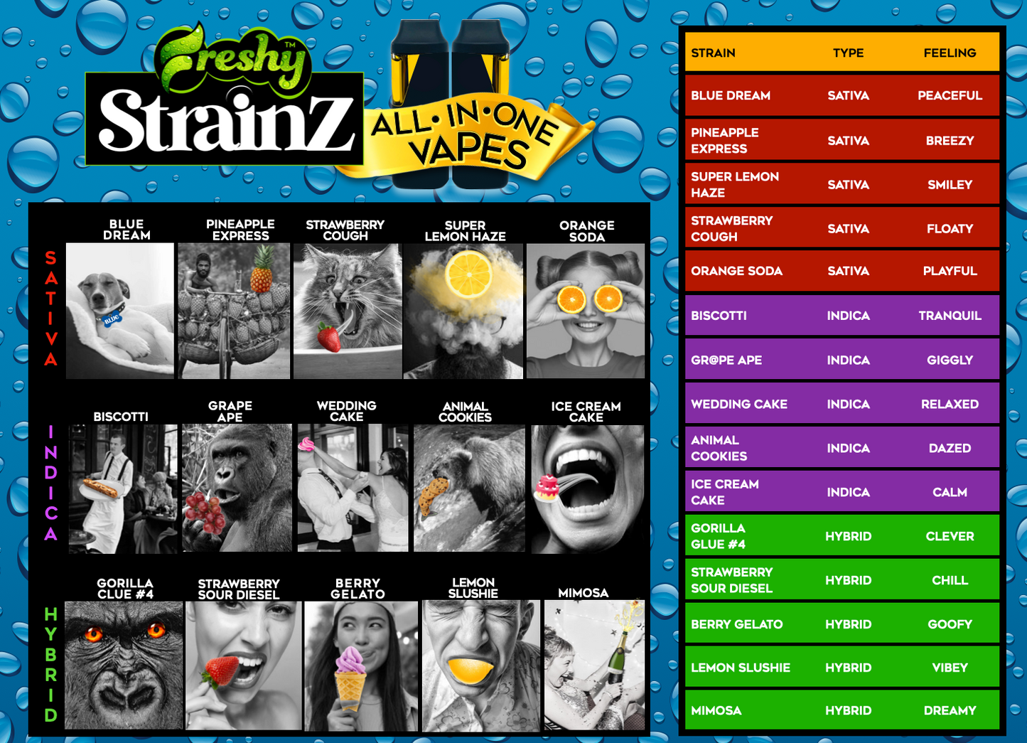 Freshy STRAINZ Master Case 2g AIO Live Resin + Melted Diamonds Uncut THCA - 15 Strainz